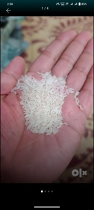 Rice