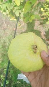 ഫോട്ടോ 2