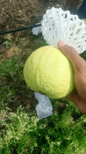 ഫോട്ടോ 3