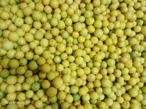 ഫോട്ടോ 3