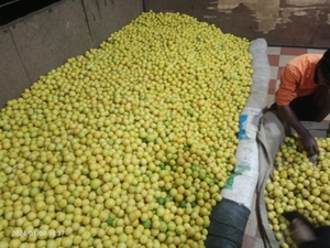 ഫോട്ടോ 4