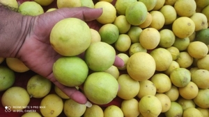 ഫോട്ടോ 5
