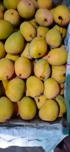 फोटो 5