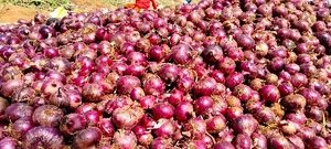 ఫోటో 2