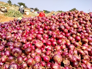 ఫోటో 3