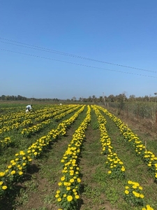 ಫೋಟೋ 2