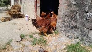 படம் 2