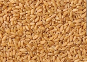 வியர்வை