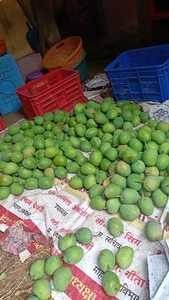 മാമ്പഴം
