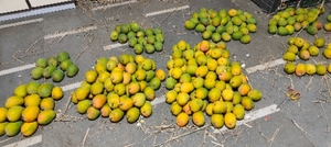 ഫോട്ടോ 2