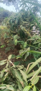 ఫోటో 5