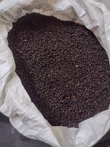 ഫോട്ടോ 2