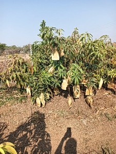 படம் 2