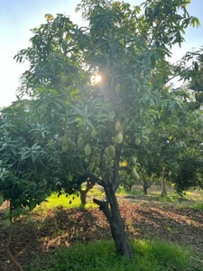 ಫೋಟೋ 3