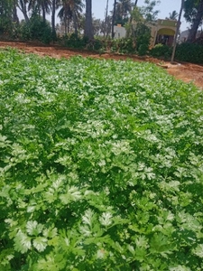 ഫോട്ടോ 2