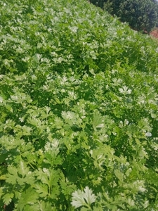 ഫോട്ടോ 3