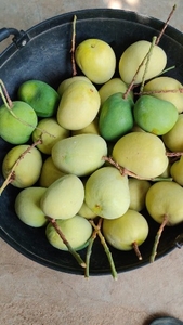 ഫോട്ടോ 2