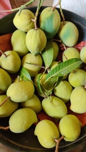 ഫോട്ടോ 3