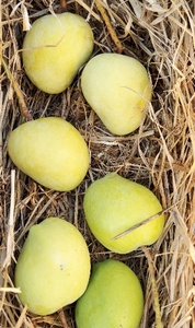 ഫോട്ടോ 5