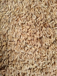 ಧನ್