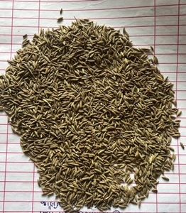 ജീര