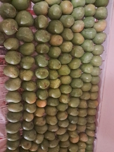 ఫోటో 2