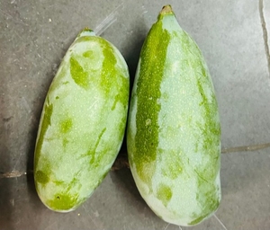 மாம்பழங்கள்
