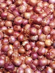 ഉള്ളി