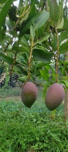 ഫോട്ടോ 3