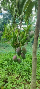 ഫോട്ടോ 4