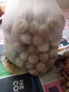 അരക്ക നട്ട്
