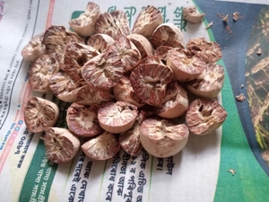 ఫోటో 2