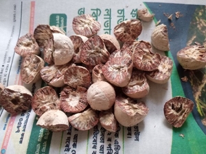 ఫోటో 3