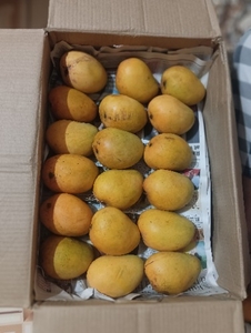 ഫോട്ടോ 3