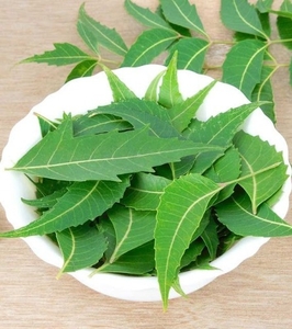 नीम की पत्तियां