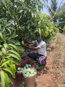 ഫോട്ടോ 2