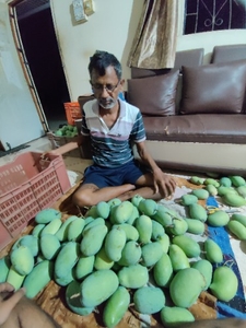 ഫോട്ടോ 4