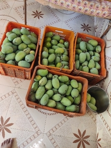 ഫോട്ടോ 5