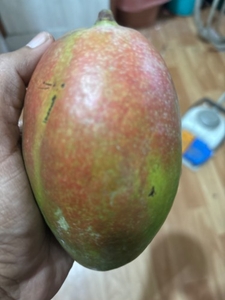 மியாசாகி மாம்பழம்