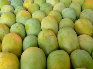 മാമ്പഴം 