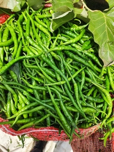 പച്ചമുളക്