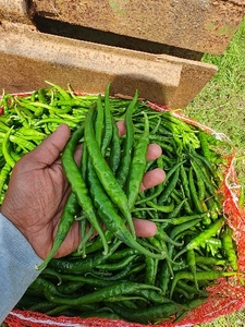 ఫోటో 3