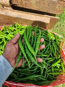 ఫోటో 4