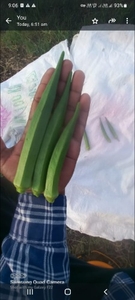 ഭിണ്ടി