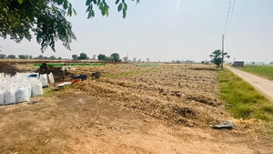 वर्मीकम्पोस्ट