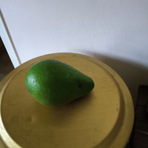 ഫോട്ടോ 2