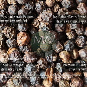 Black Pepper
