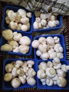 ఫోటో 3