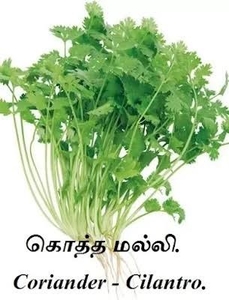 മല്ലിയില
