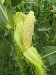 ഫോട്ടോ 2